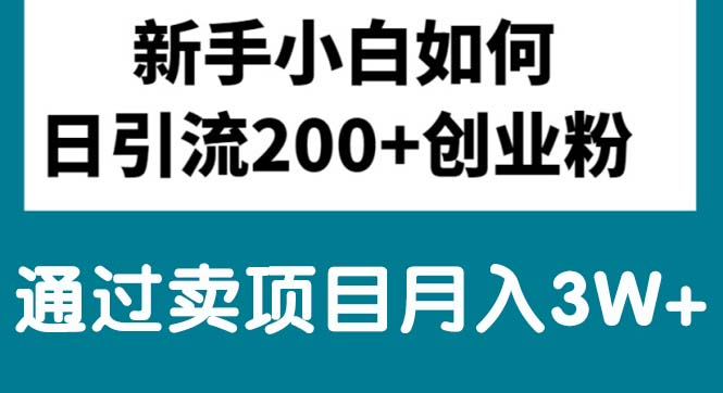 （10843期）新手小白日引流200+创业粉,通过卖项目月入3W+-老月项目库