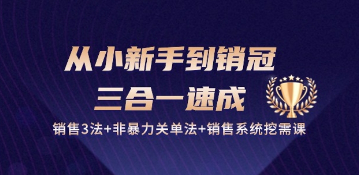 从小新手到销冠 三合一速成：销售3法+非暴力关单法+销售系统挖需课 (27节)-老月项目库