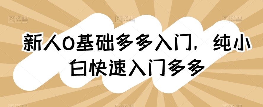 新人0基础多多入门，​纯小白快速入门多多-老月项目库