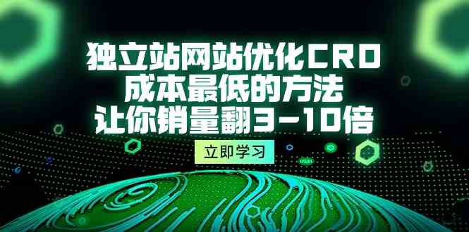 独立站网站优化CRO，成本最低的方法，让你销量翻3-10倍（5节课）-老月项目库