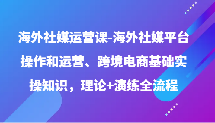 海外社媒运营课-海外社媒平台操作和运营、跨境电商基础实操知识，理论+演练全流程-老月项目库