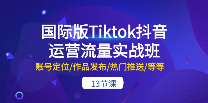 （10712期）国际版Tiktok抖音运营流量实战班：账号定位/作品发布/热门推送/等等-13节-老月项目库