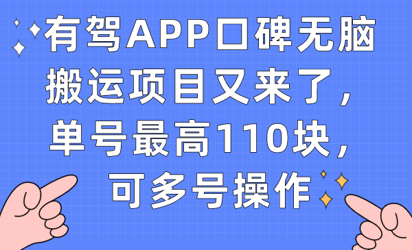 有驾APP口碑无脑搬运项目又来了，单号最高110块，可多号操作-老月项目库