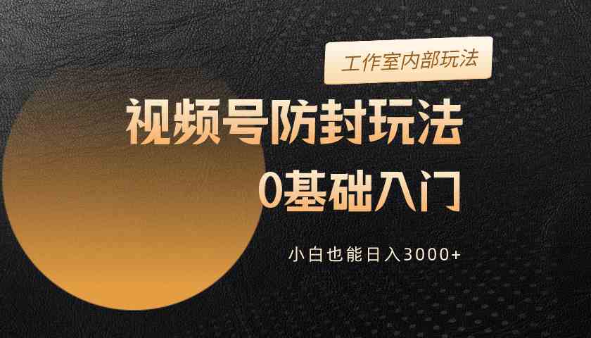 （10107期）2024视频号升级防封玩法，零基础入门，小白也能日入3000+-老月项目库