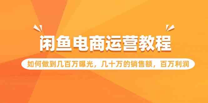 （9560期）闲鱼电商运营教程：如何做到几百万曝光，几十万的销售额，百万利润.-老月项目库