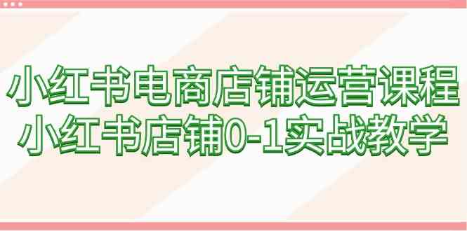 （9249期）小红书电商店铺运营课程，小红书店铺0-1实战教学（60节课）-老月项目库