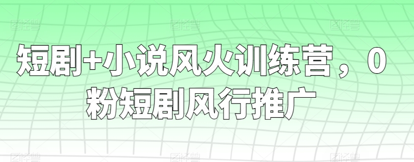 短剧+小说风火训练营，0粉短剧风行推广-老月项目库