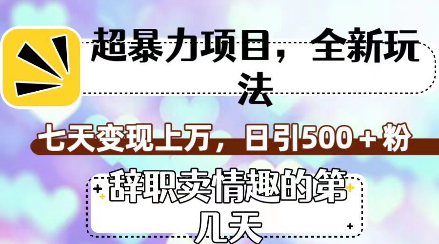 超暴利项目，全新玩法（辞职卖情趣的第几天），七天变现上万，日引500+粉-老月项目库