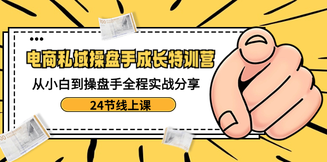 电商私域-操盘手成长特训营：从小白到操盘手全程实战分享-24节线上课-老月项目库