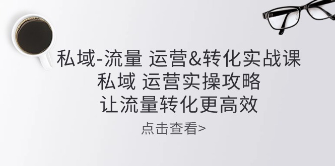 （10739期）私域-流量 运营&转化实操课：私域 运营实操攻略 让流量转化更高效-老月项目库