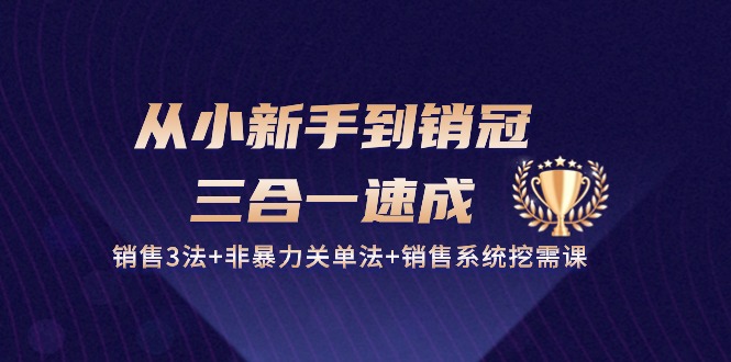 （10799期）从小新手到销冠 三合一速成：销售3法+非暴力关单法+销售系统挖需课 (27节)-老月项目库