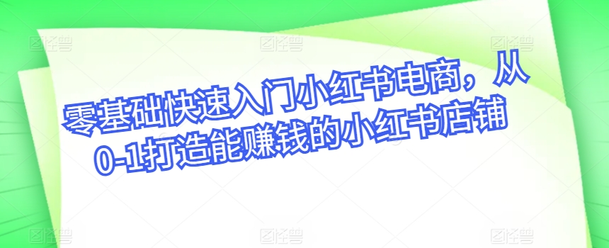 零基础快速入门小红书电商，从0-1打造能赚钱的小红书店铺-老月项目库