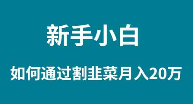 （9308期）新手小白如何通过割韭菜月入 20W-老月项目库