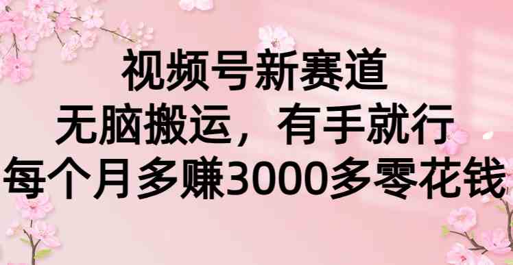 （9277期）视频号新赛道，无脑搬运，有手就行，每个月多赚3000多零花钱-老月项目库