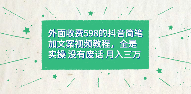 外面收费598抖音简笔加文案教程，全是实操 没有废话 月入三万（教程+资料）-老月项目库