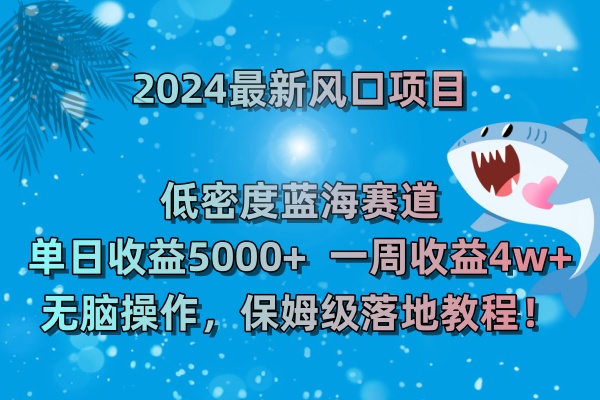 2024最新风口项目 低密度蓝海赛道，日收益5000+周收益4w+ 无脑操作-老月项目库