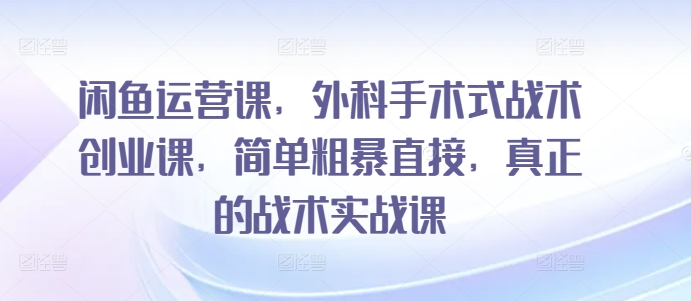 闲鱼运营课，外科手术式战术创业课，简单粗暴直接，真正的战术实战课-老月项目库