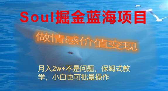 Soul掘金蓝海项目细分赛道，做情感价值变现，月入2w+不是问题-老月项目库