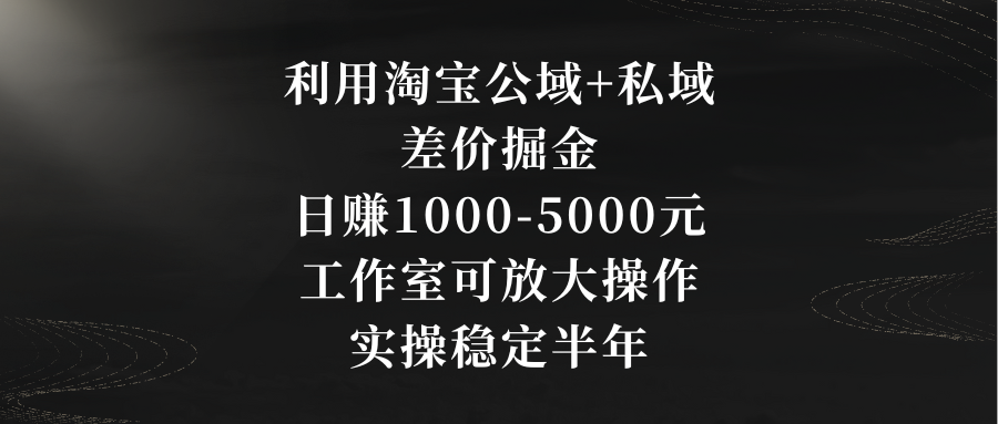 利用淘宝公域+私域差价掘金，日赚1000-5000元，工作室可放大操作，实操…-老月项目库