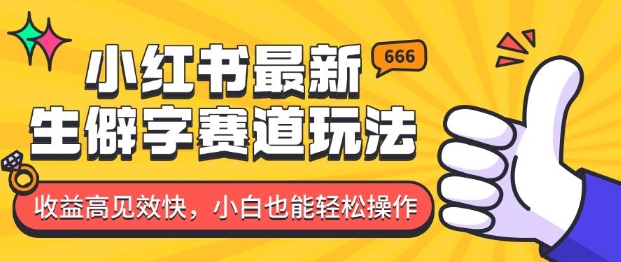 小红书最新生僻字赛道玩法，收益高见效快，小白也能轻松操作-老月项目库