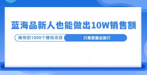 这个蓝海品，新号也能卖出10W的销售额，年底疯狂怼量就能出结果-老月项目库