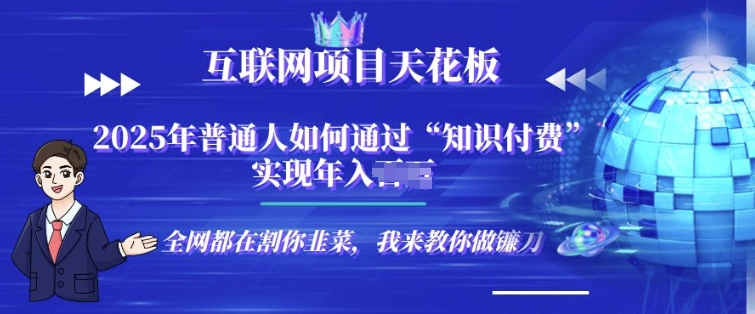 2025-互联网项目天花板”知识付费”卖项目合伙人镰刀训练营-老月项目库