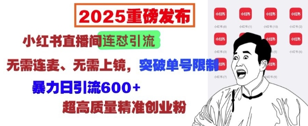 2025重磅发布：小红书直播间连怼引流，无需连麦、无需上镜，突破单号限制，暴力日引流600+-老月项目库