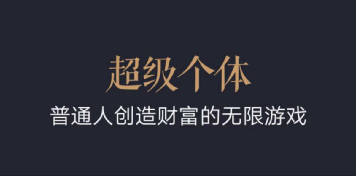 超级个体：2024-2025翻盘指南，普通人创造财富的无限游戏-老月项目库