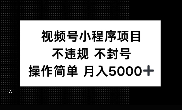 视频号小程序项目，不违规不封号，操作简单 月入5000+-老月项目库