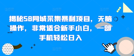 揭秘58同城采集暴利项目，无脑操作，非常适合新手小白，一部手机轻松日入-老月项目库