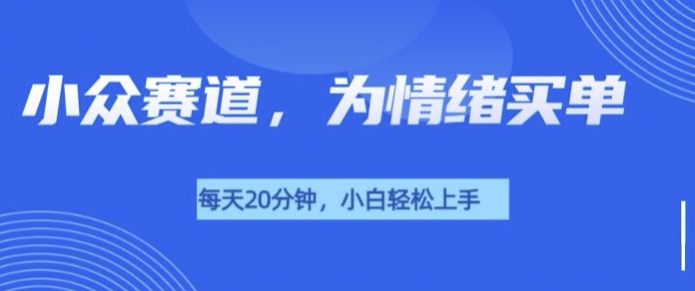 小众赛道，我的治愈系电子抱枕，让用户为情绪买单-老月项目库