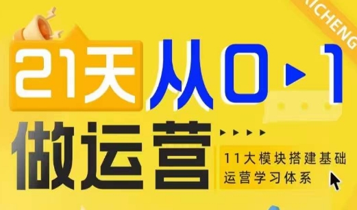 21天从0-1做运营，11大维度搭建基础运营学习体系-老月项目库