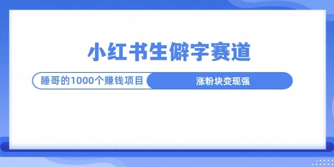 小红书生僻字玩法，快速涨分变现详解-老月项目库