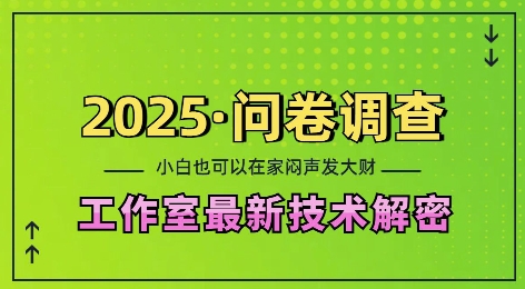 2025问卷调查最新工作室技术解密：一个人在家也可以闷声发大财，小白一天2张，可矩阵放大【揭秘】-老月项目库