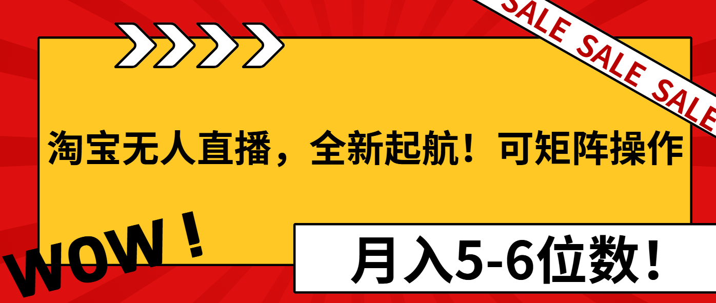 （13946期）淘宝无人直播，全新起航！可矩阵操作，月入5-6位数！-老月项目库