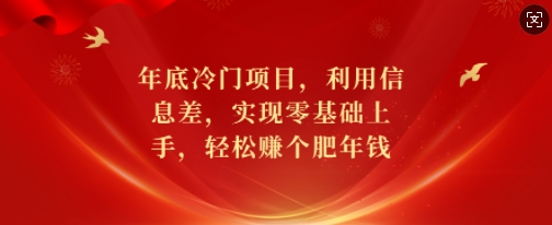 年底冷门项目，利用信息差，实现零基础上手，轻松赚个肥年钱【揭秘】-老月项目库