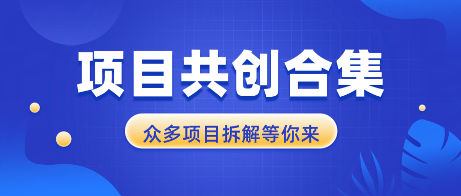 （13778期）项目共创合集，从0-1全过程拆解，让你迅速找到适合自已的项目-老月项目库