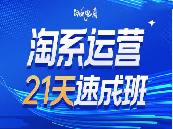 淘系运营21天速成班35期，年前最后一波和2025方向-老月项目库