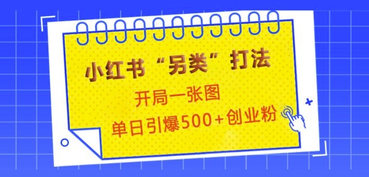 小红书“另类”打法，开局一张图，单日引爆500+精准创业粉【揭秘】-老月项目库