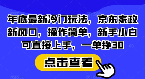 年底最新冷门玩法，京东家政新风口，操作简单，新手小白可直接上手，一单挣30【揭秘】-老月项目库