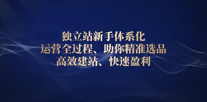 （13914期）独立站新手体系化 运营全过程，助你精准选品、高效建站、快速盈利-老月项目库