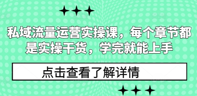 私域流量运营实操课，每个章节都是实操干货，学完就能上手-老月项目库