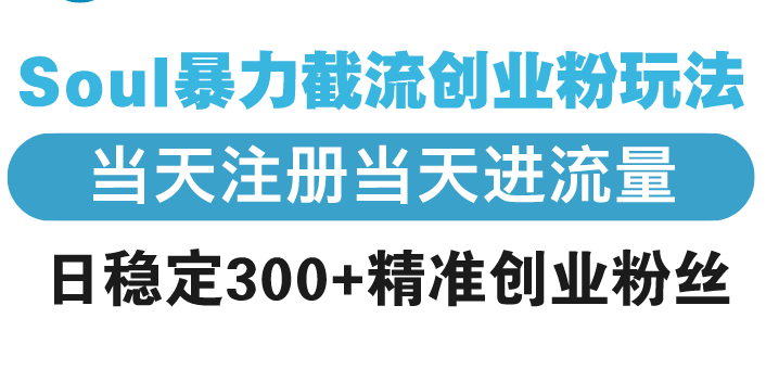 （13935期）Soul暴力截流创业粉玩法，当天注册当天进流量，日稳定300+精准创业粉丝-老月项目库