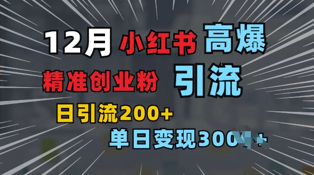 小红书一张图片“引爆”创业粉，单日+200+精准创业粉 可筛选付费意识创业粉【揭秘】-老月项目库