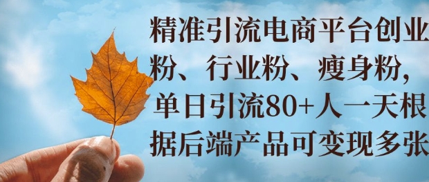 小投资撬动大收益，精准引流创业粉、行业粉，单日引流80+，一天可变现多张-老月项目库